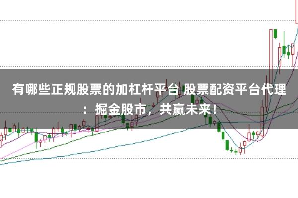 有哪些正规股票的加杠杆平台 股票配资平台代理：掘金股市，共赢未来！