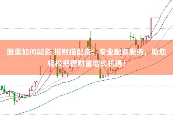 股票如何融资 招财猫配资：专业配资服务，助您轻松把握财富增长机遇！