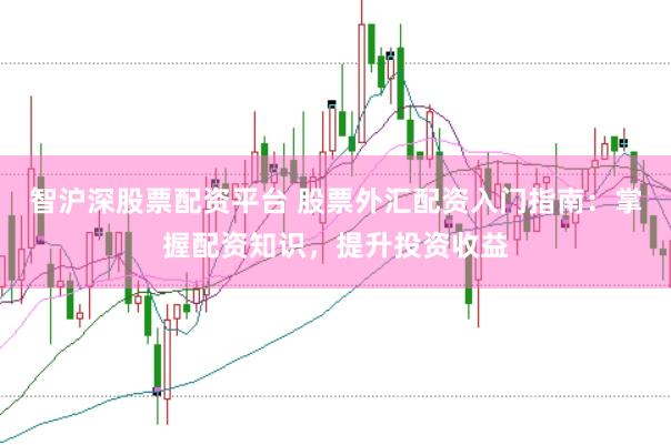 智沪深股票配资平台 股票外汇配资入门指南：掌握配资知识，提升投资收益
