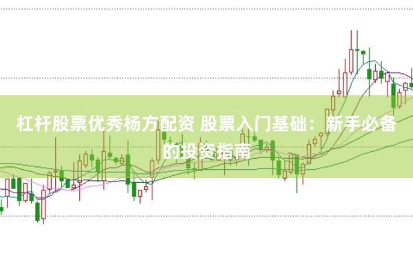 杠杆股票优秀杨方配资 股票入门基础：新手必备的投资指南