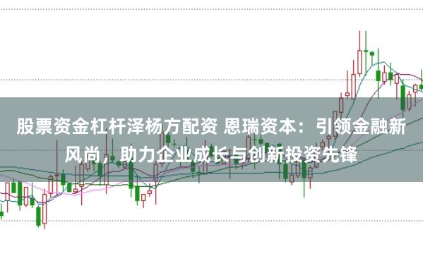 股票资金杠杆泽杨方配资 恩瑞资本：引领金融新风尚，助力企业成长与创新投资先锋