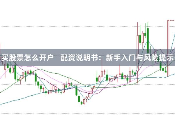买股票怎么开户   配资说明书：新手入门与风险提示