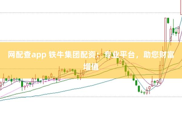 网配查app 铁牛集团配资：专业平台，助您财富增值