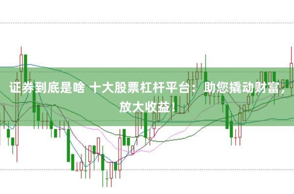 证券到底是啥 十大股票杠杆平台：助您撬动财富，放大收益！