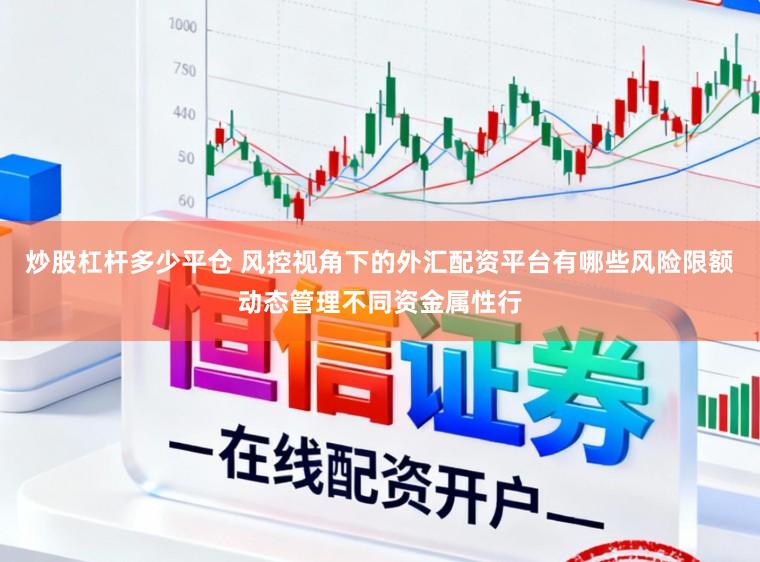 炒股杠杆多少平仓 风控视角下的外汇配资平台有哪些风险限额动态管理不同资金属性行