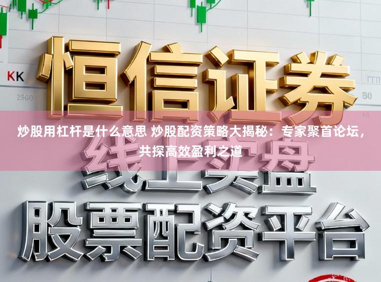 炒股用杠杆是什么意思 炒股配资策略大揭秘：专家聚首论坛，共探高效盈利之道
