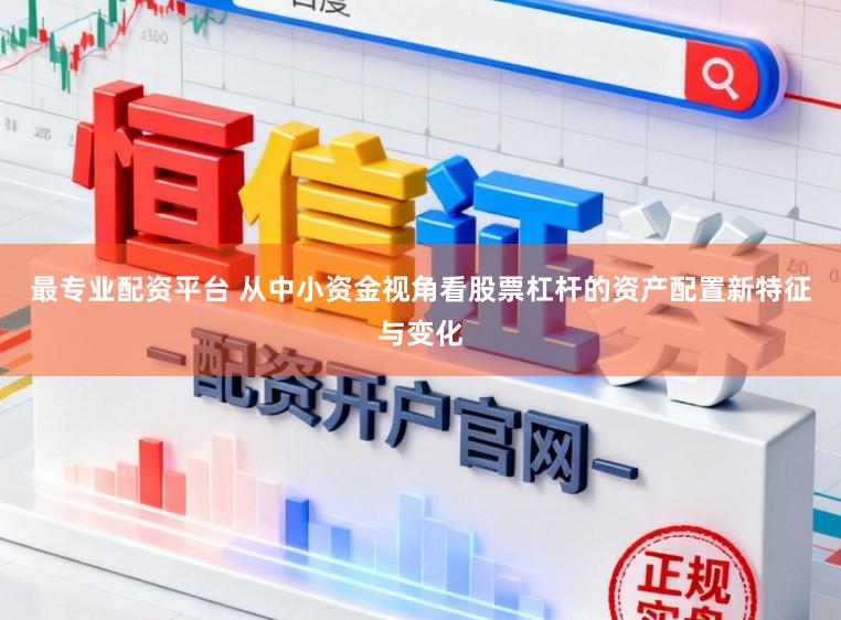 最专业配资平台 从中小资金视角看股票杠杆的资产配置新特征与变化